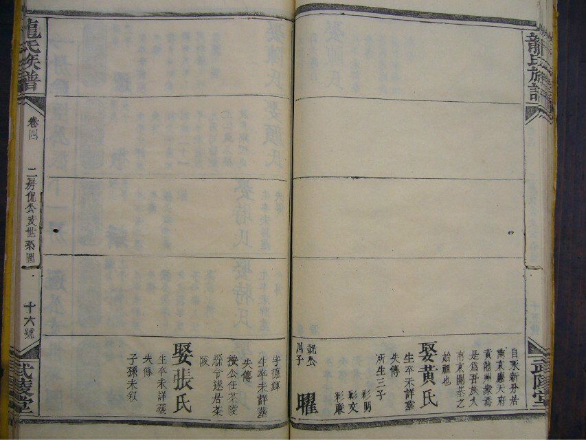 1545274011312496.jpg